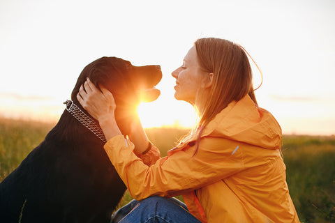 The Best Ways to Bond with Your Animal: Building a Strong Relationship with Your Pet