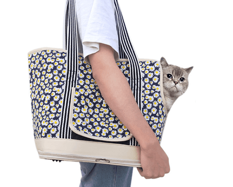 Cat Carriers & Travel