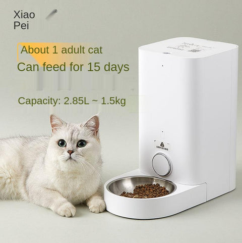 Smartpaws Automatic Cat Feeder-2