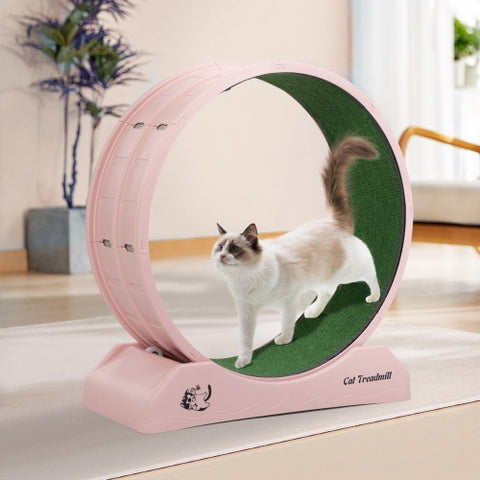 Cat Running Wheel, Small Animal Sports Treadmill With Locking Mechanism