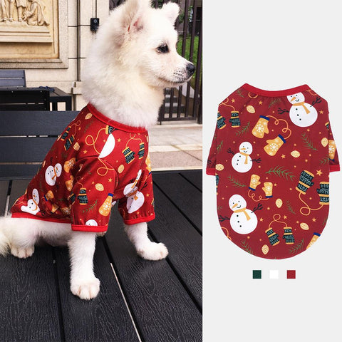 Festive Holiday Delight Dog Clothes Set-2