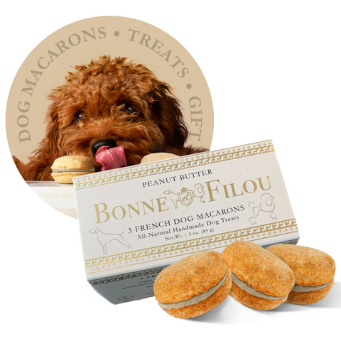 Dog Macarons (Box of 3)