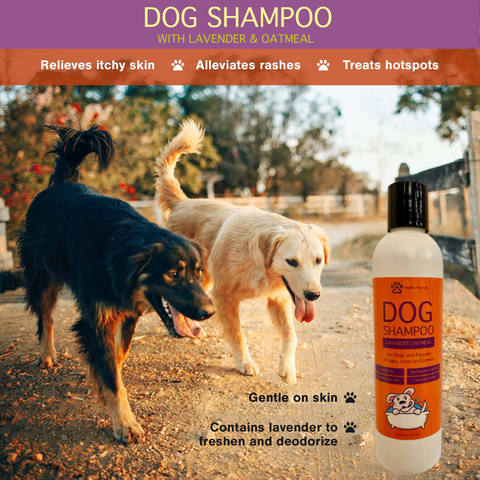 Oatmeal Lavender Pet Shampoo