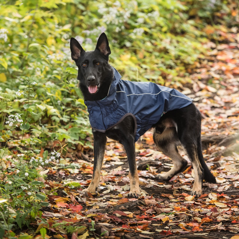 Reversible Elasto-Fit Raincoat - Navy