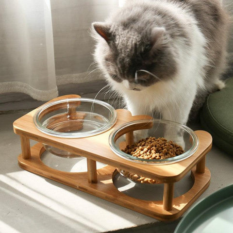 Elegant Glass Cat Food Bowl Set - Stylish And Functional Pet Dining Solution-1