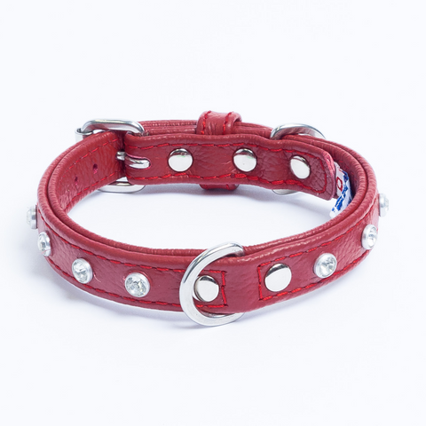 Athens Dog Collar