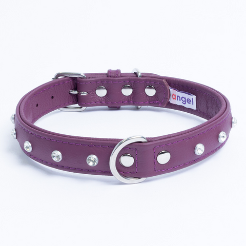 Athens Dog Collar