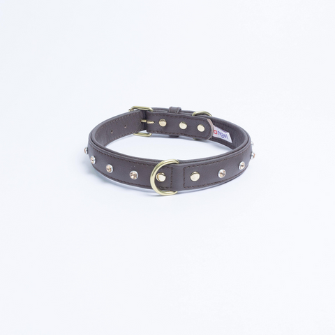 Athens Dog Collar