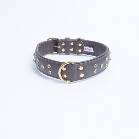 Athens Dog Collar