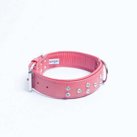 Athens Dog Collar