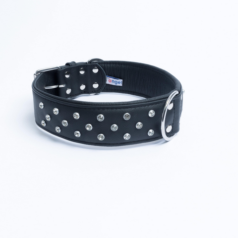 Athens Dog Collar