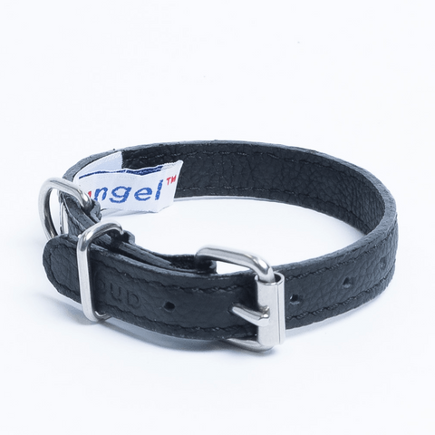 Athens Dog Collar