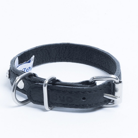 Athens Dog Collar