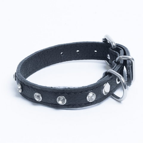 Athens Dog Collar