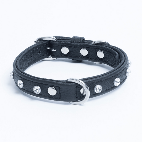 Athens Dog Collar