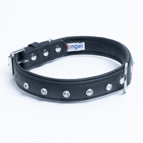 Athens Dog Collar