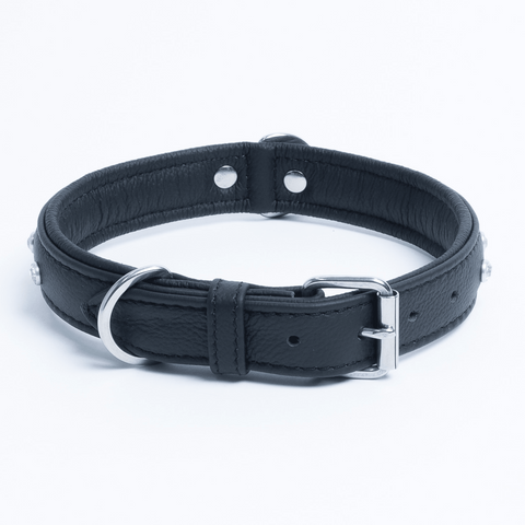 Athens Dog Collar