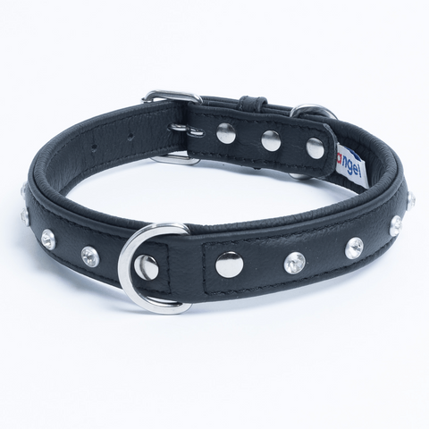 Athens Dog Collar