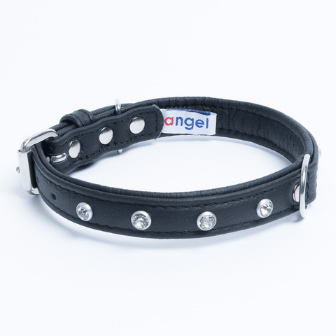 Athens Dog Collar