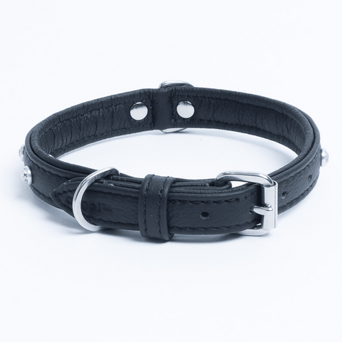 Athens Dog Collar