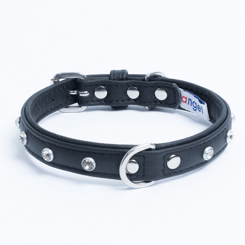 Athens Dog Collar