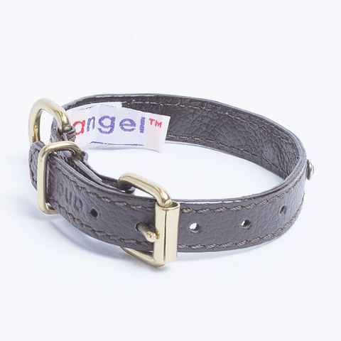 Athens Dog Collar