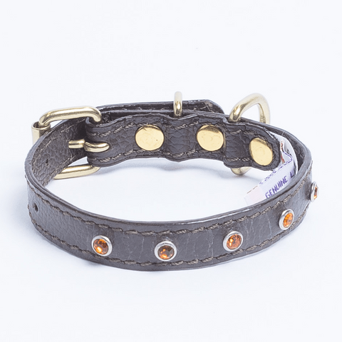 Athens Dog Collar