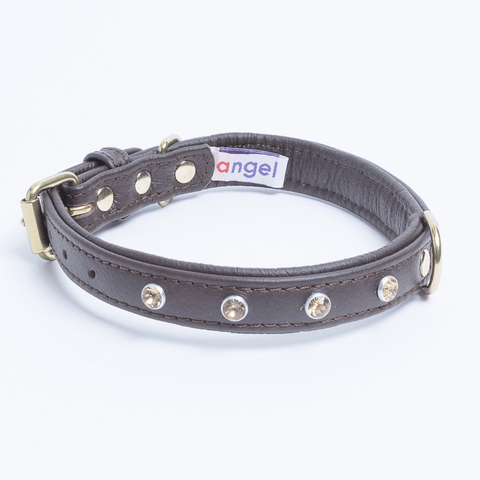 Athens Dog Collar