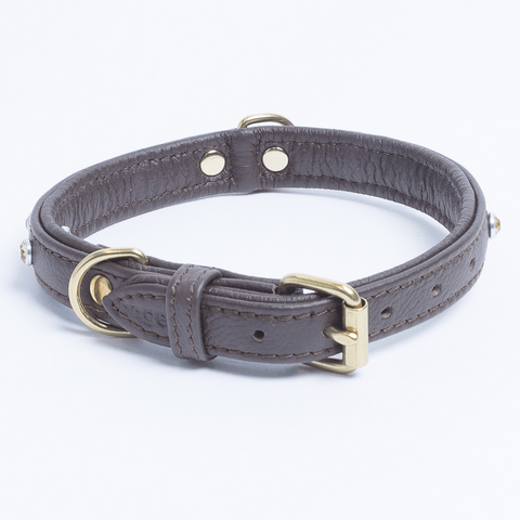 Athens Dog Collar