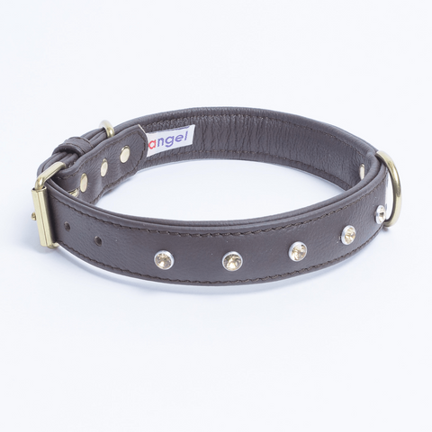 Athens Dog Collar