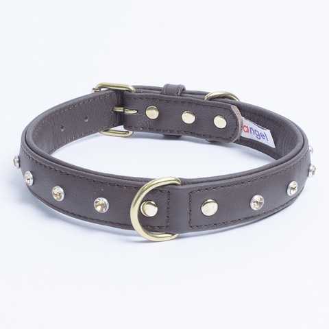 Athens Dog Collar