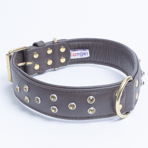 Athens Dog Collar