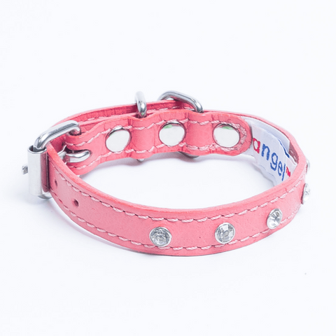 Athens Dog Collar