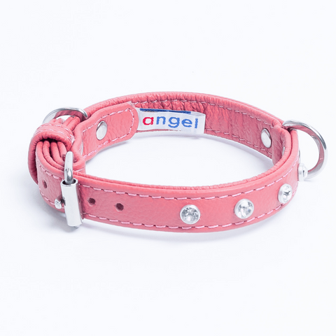 Athens Dog Collar