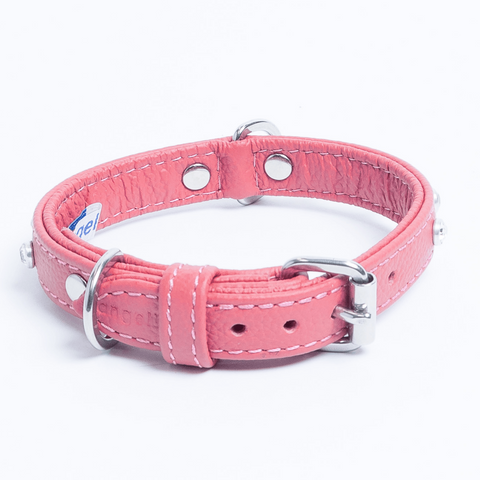 Athens Dog Collar