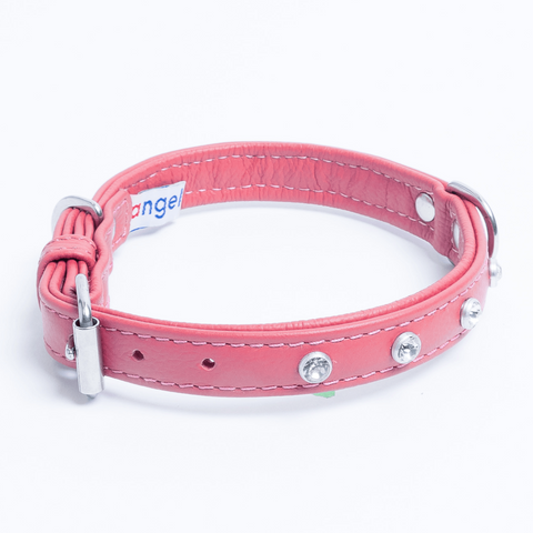 Athens Dog Collar