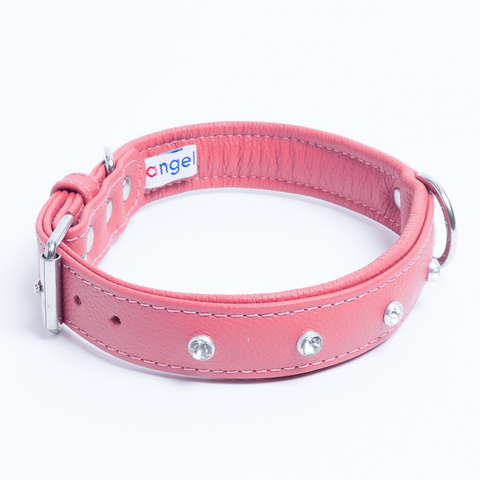 Athens Dog Collar