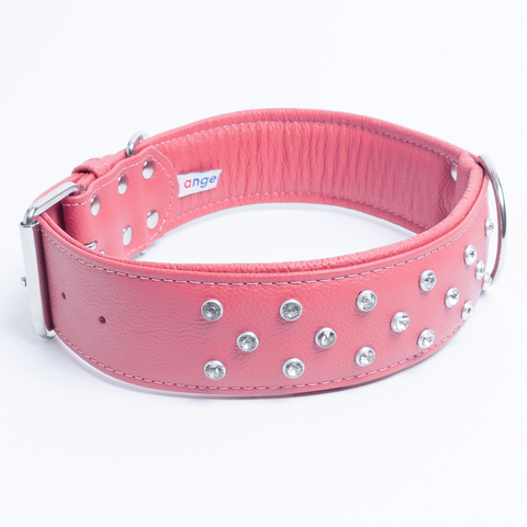 Athens Dog Collar