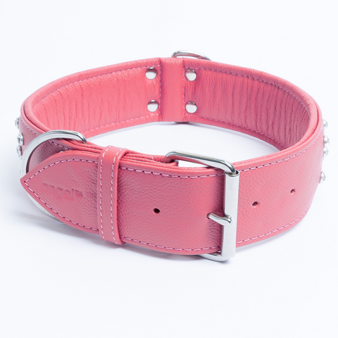 Athens Dog Collar