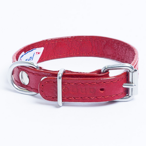 Athens Dog Collar