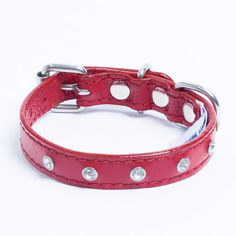 Athens Dog Collar