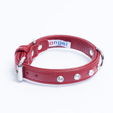 Athens Dog Collar