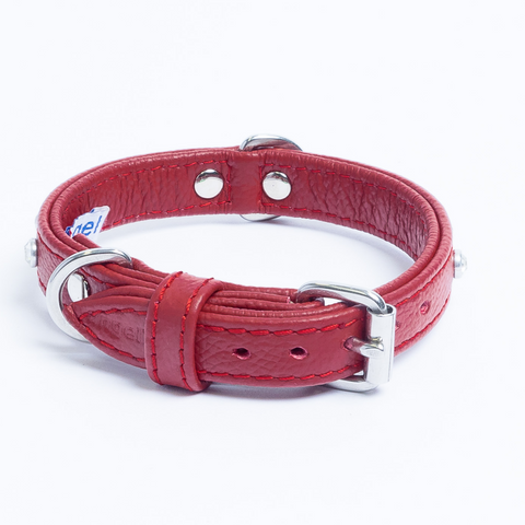 Athens Dog Collar