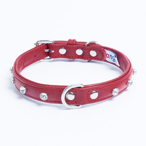 Athens Dog Collar