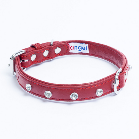 Athens Dog Collar