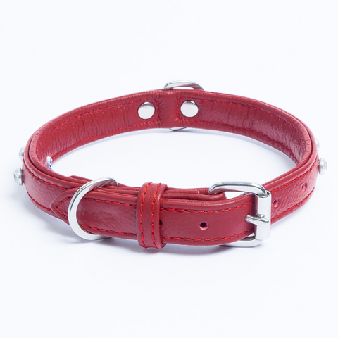 Athens Dog Collar