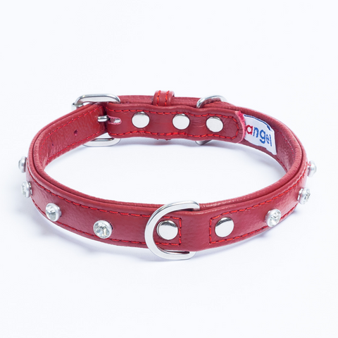 Athens Dog Collar