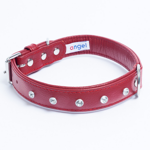 Athens Dog Collar