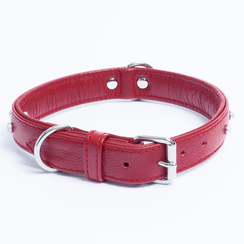 Athens Dog Collar