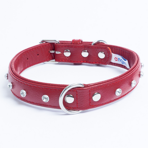 Athens Dog Collar